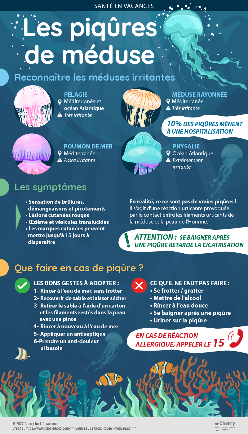 Infographie sur les piqûres de méduses