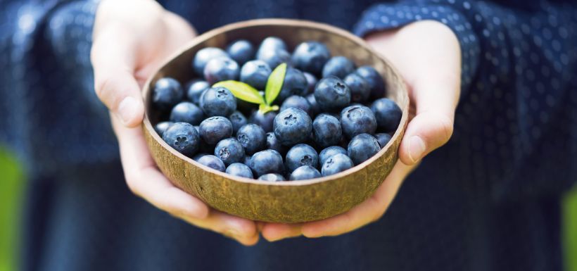 Les myrtilles pour une meilleure santé cérébrale et cardiovasculaire.