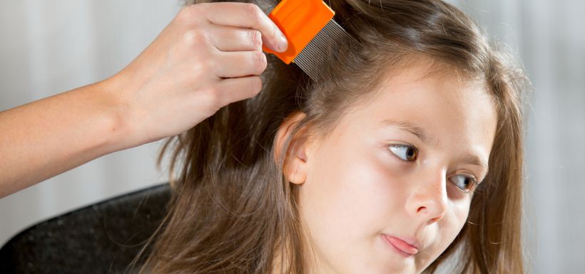 peigne à poux sur tête d'enfant